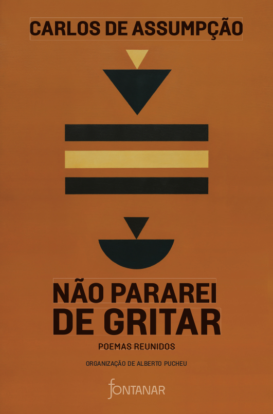 NO PARAREI DE GRITAR